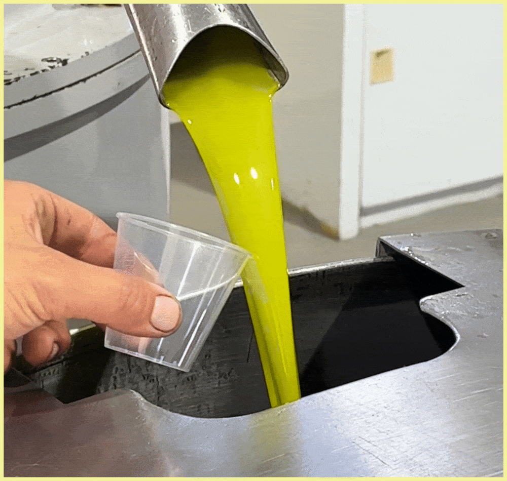 ROCKET FUEL - OLIO NOVELLO